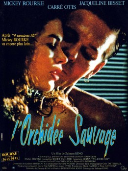 LOrchidée-sauvage.jpg